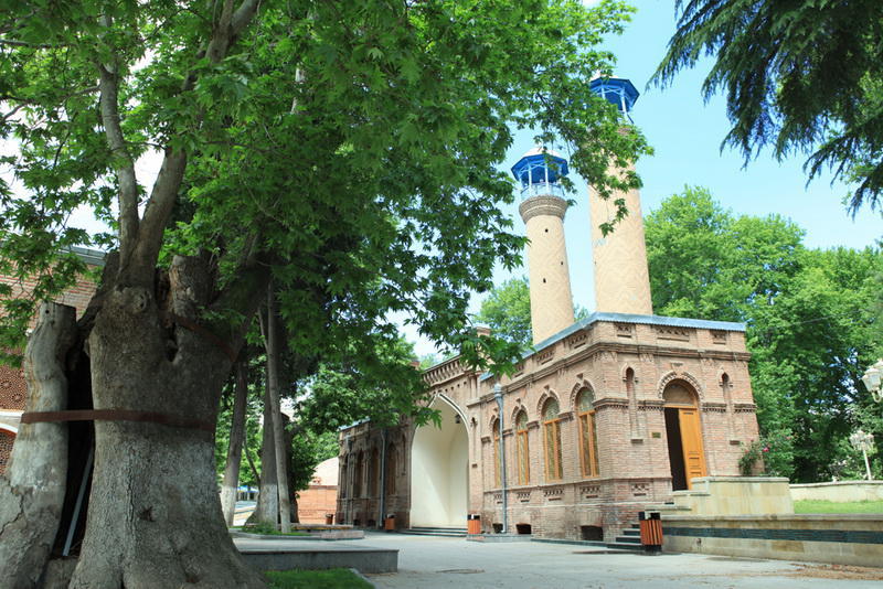 Roza Zərgərlidən “Can Azərbaycan” fotolayihəsi