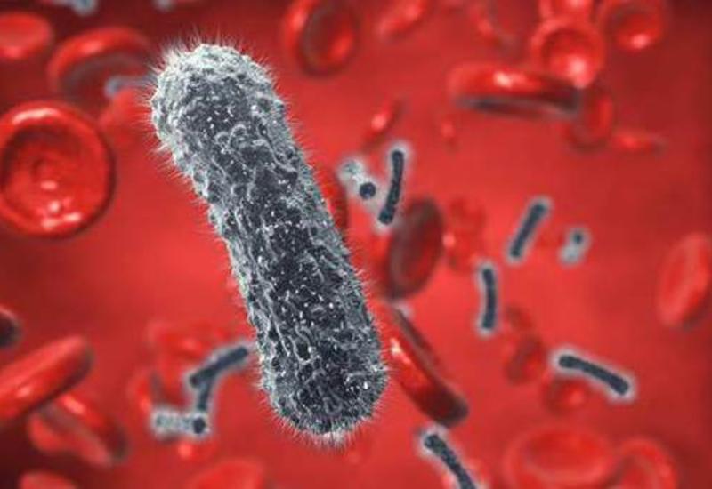 Ученые нашли способ блокировать заражение гепатитом