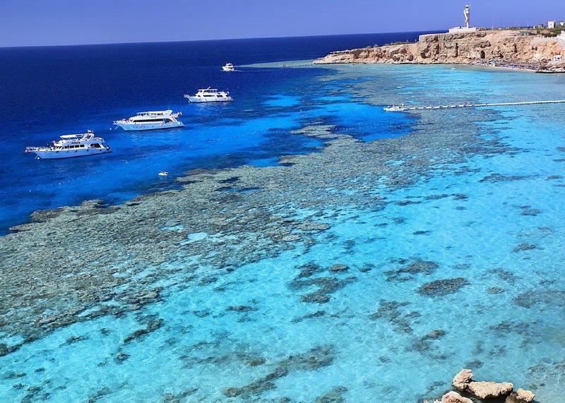 Отдых в Шарм-Аль-Шейх от Silk Way Travel по выгодным ценам