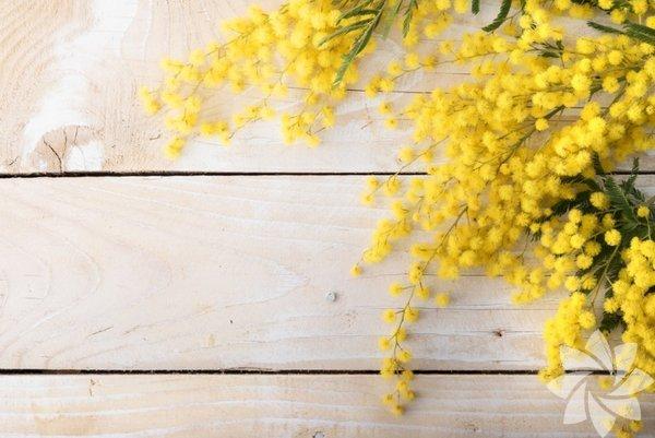 Sevgilinizin görüşünə bu güllərlə gedin