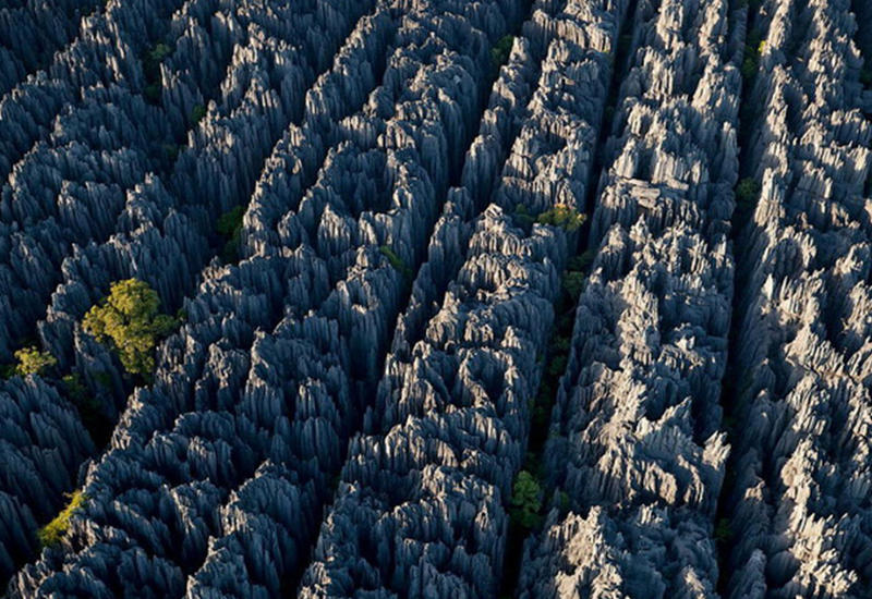 Каменный лес Цинги: это стоит увидеть своими глазами