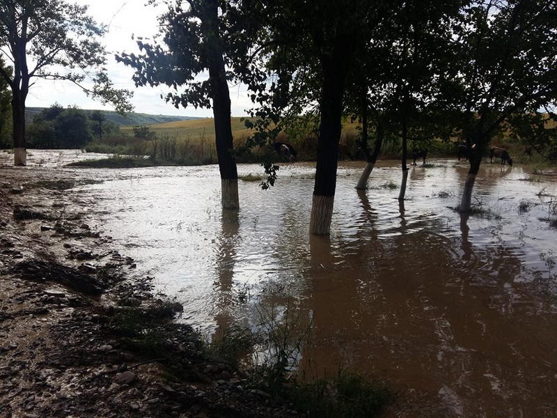 Стихийное бедствие в Исмаиллы: затоплено более 10 сел