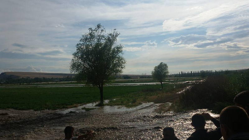 Стихийное бедствие в Исмаиллы: затоплено более 10 сел