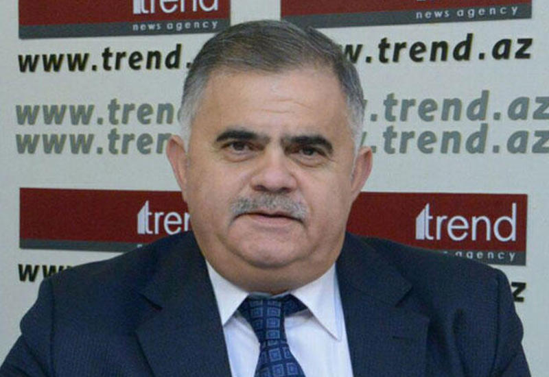 Arzu Nağıyev: "Ermənistan Azərbaycanla Gürcüstanın strateji tərəfdaşlığını həzm edə bilmir"