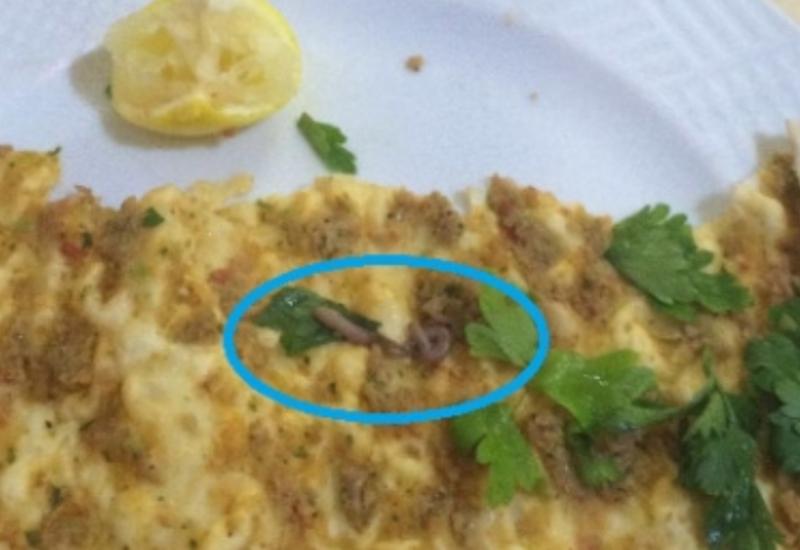 «Torqovı»dakı şaurmadan soxulcan çıxdı?
