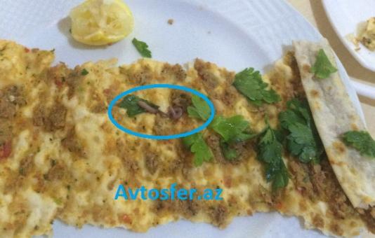 «Torqovı»dakı şaurmadan soxulcan çıxdı?