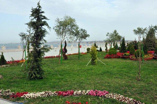 Sumqayıtın yeni bulvarı bu gün