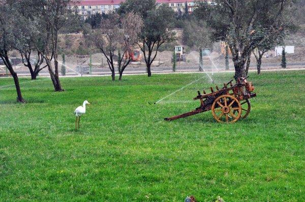 Sumqayıtın yeni bulvarı bu gün