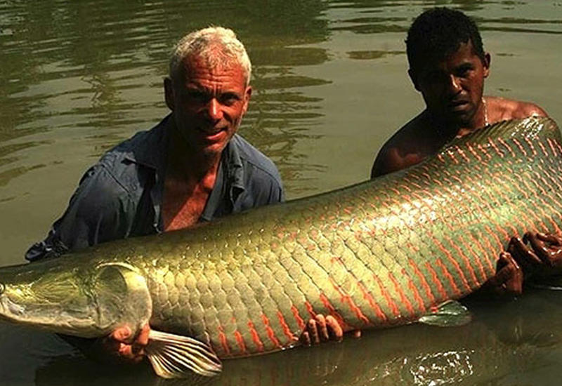 Cамые удивительные речные монстры, пойманные ведущим Animal Planet