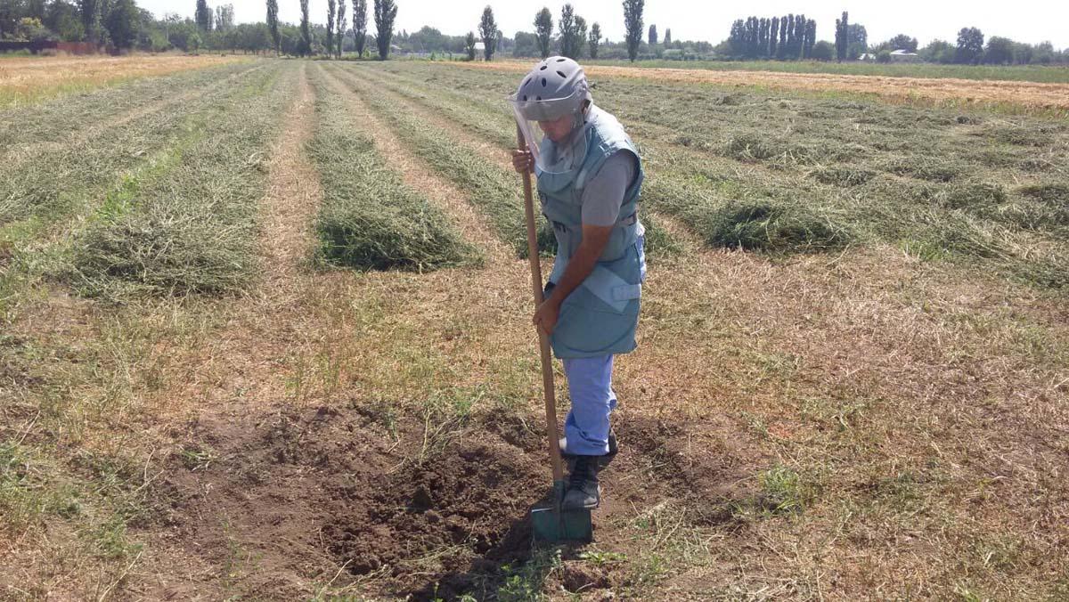 В прифронтовых районах обнаружены 5 неразорвавшихся боеприпасов