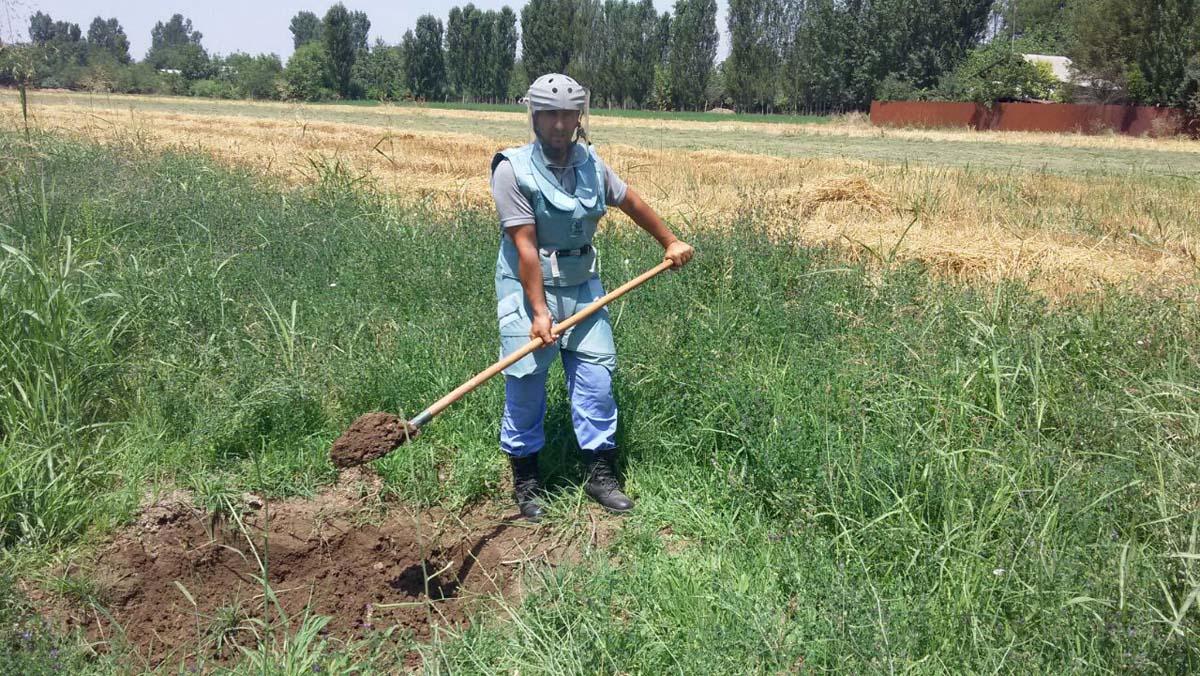В прифронтовых районах обнаружены 5 неразорвавшихся боеприпасов