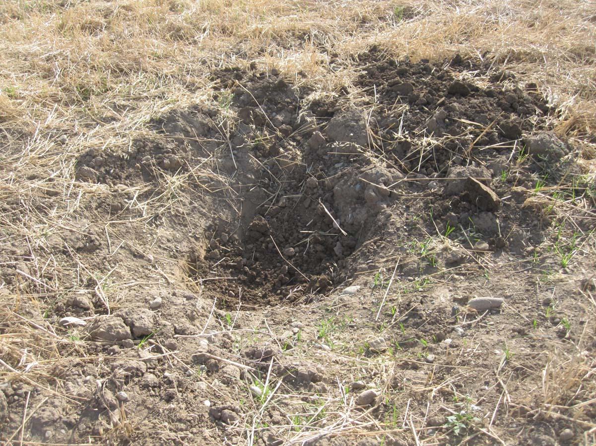 В прифронтовых районах обнаружены 5 неразорвавшихся боеприпасов