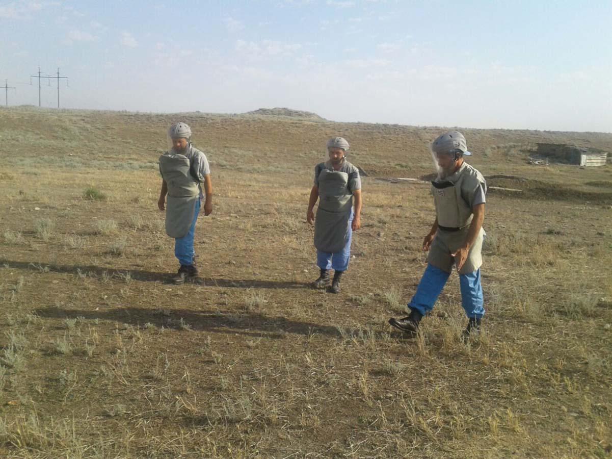 В прифронтовых районах обнаружены 5 неразорвавшихся боеприпасов