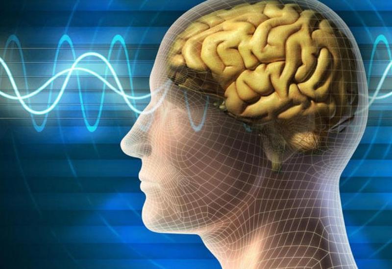 Beynimizi dincəltmək üçün nə edək?