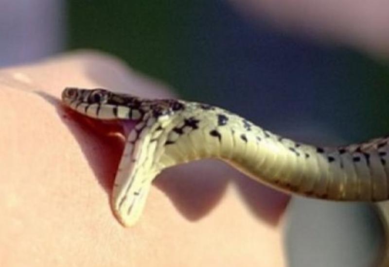 Göygöl sakinini ilan sancdı