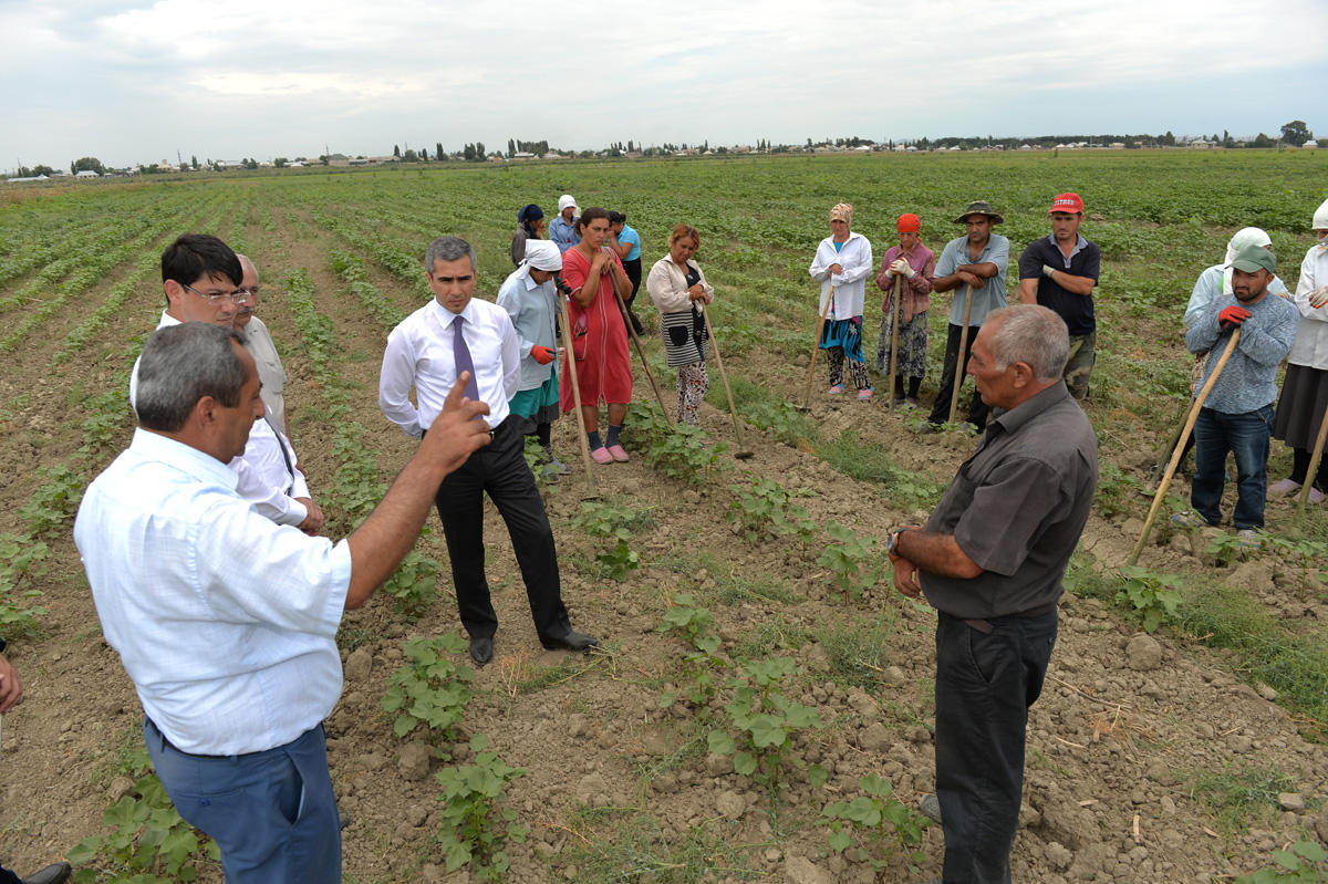 Heydər Əliyev Fondunun "Regional İnkişaf" İctimai Birliyi Yevlax və Şəkidə sakinlərlə görüşlər keçirib