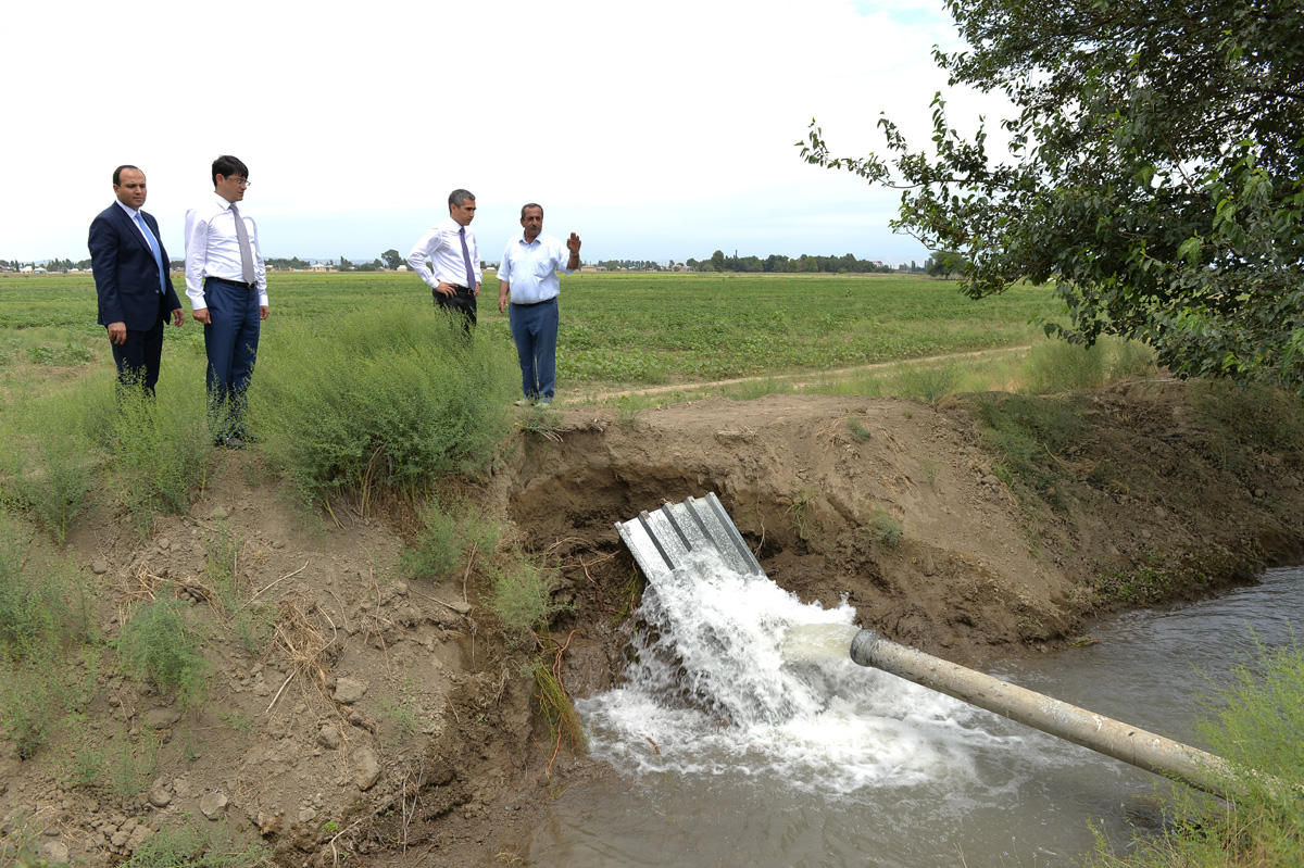 Heydər Əliyev Fondunun "Regional İnkişaf" İctimai Birliyi Yevlax və Şəkidə sakinlərlə görüşlər keçirib