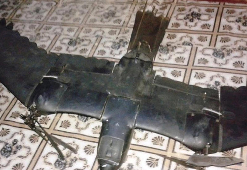 Сбит уникальный беспилотник-птица