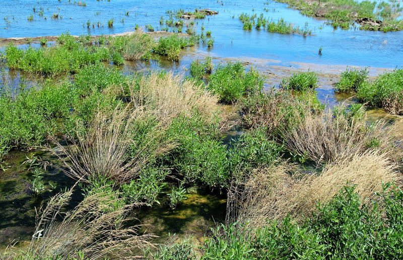 Красота и величие острова Пираллахи