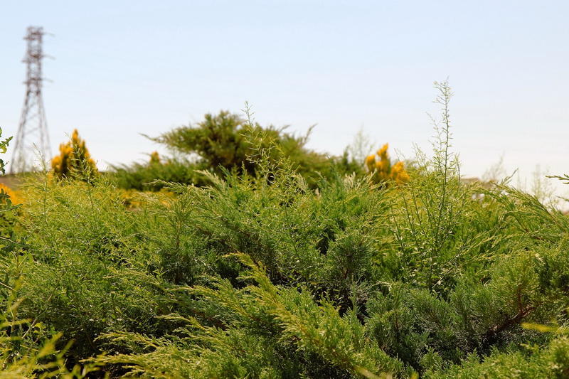 Красота и величие острова Пираллахи