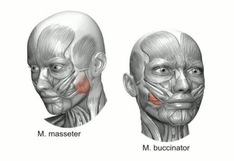 Hansı qidalar yanaqların sallanmasının qarşısını alır?