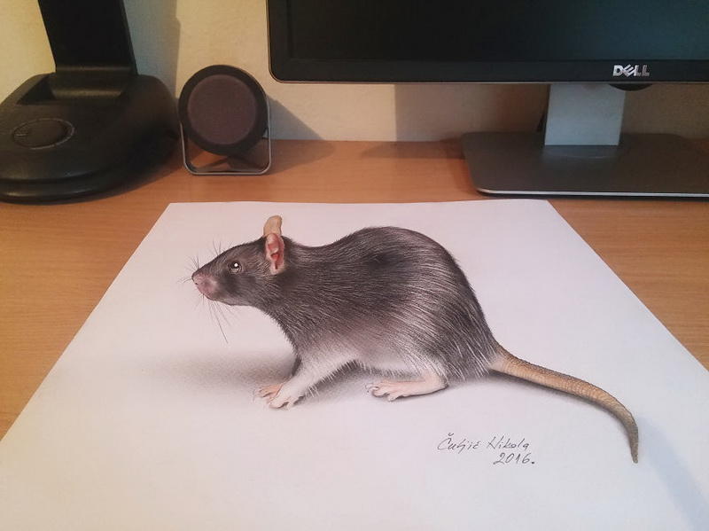 Как живые: гиперреалистичные 3D-рисунки