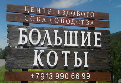 17 снимков, которые полностью ломают понятие о логике
