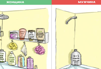 10 отличий мужчин от женщин в картинках
