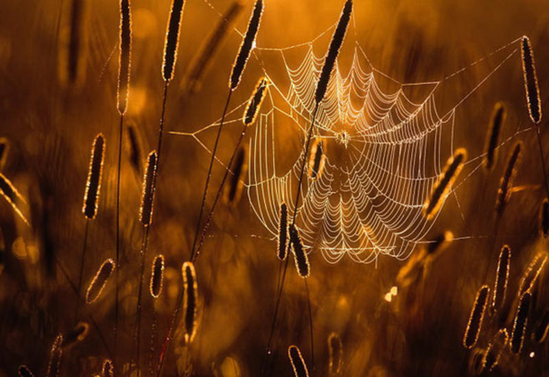 10 теплых снимков о том, как выглядит лето в холодной Финляндии