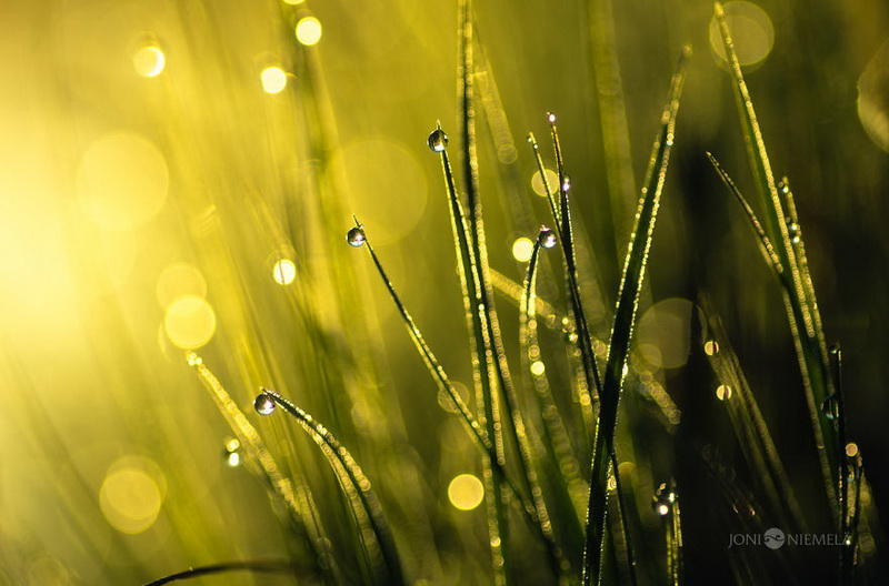 10 теплых снимков о том, как выглядит лето в холодной Финляндии