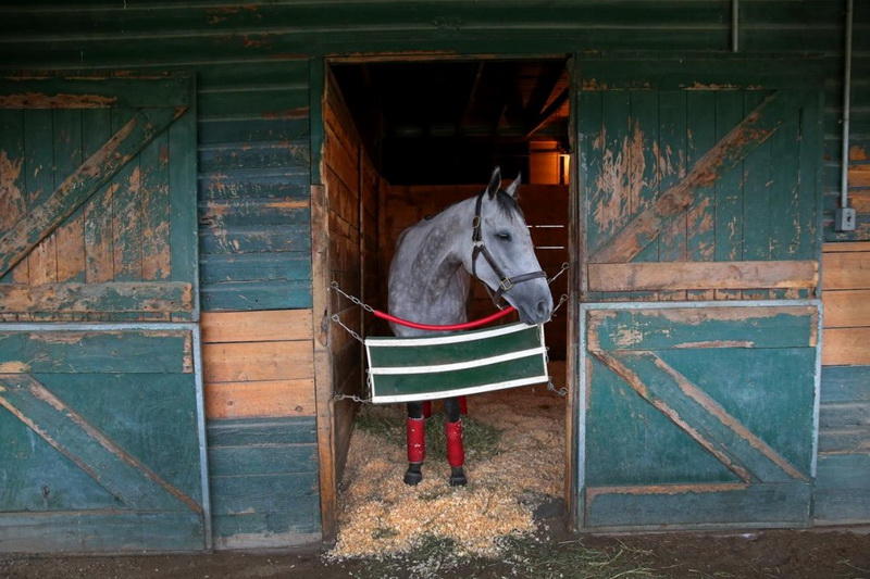Лучшие кадры июля от фотографов издания Boston Globe