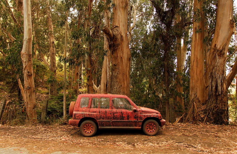 Вот что осталось после мощного лесного пожара в Калифорнии