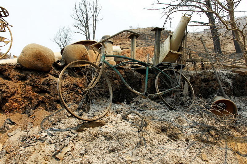 Вот что осталось после мощного лесного пожара в Калифорнии