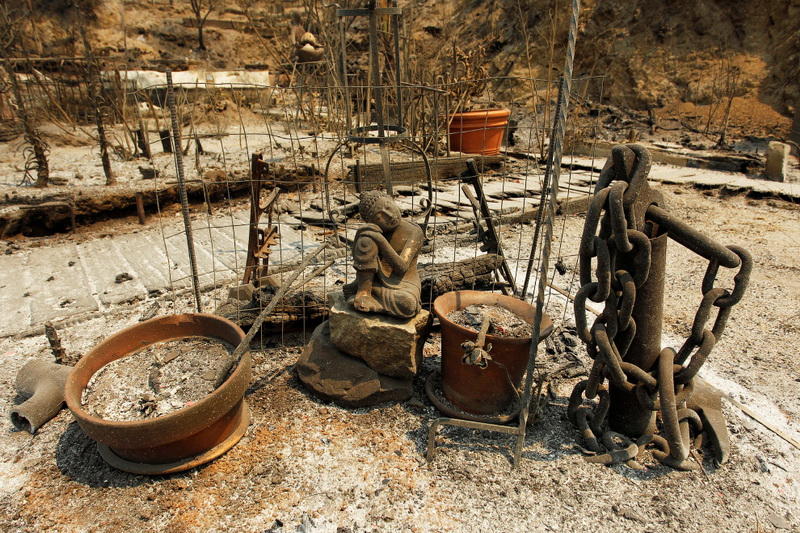 Вот что осталось после мощного лесного пожара в Калифорнии