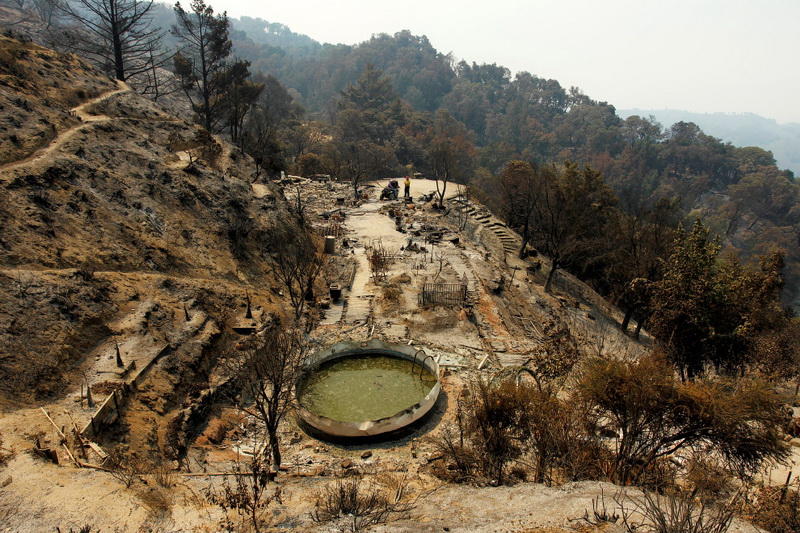 Вот что осталось после мощного лесного пожара в Калифорнии