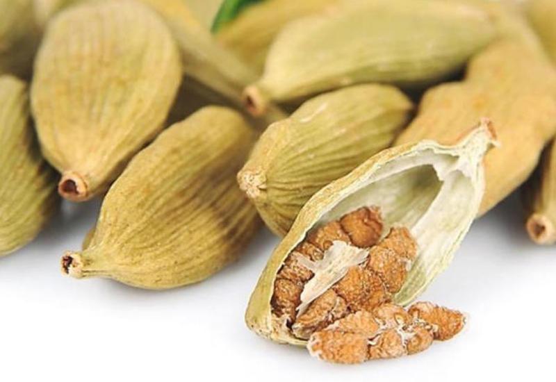 Hil - xəstəliklərə qarşı dərman