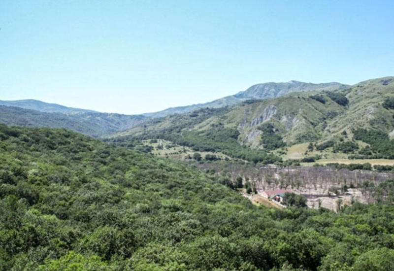 Qəbələdə iki nəfər xilas edilib