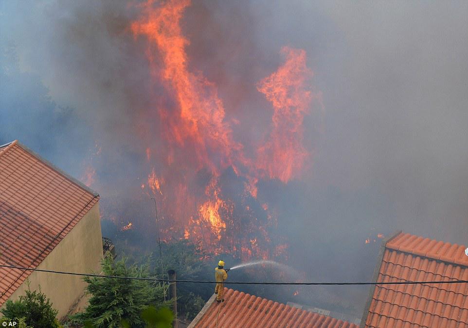 Portuqaliyanın Madeyra adası yanır