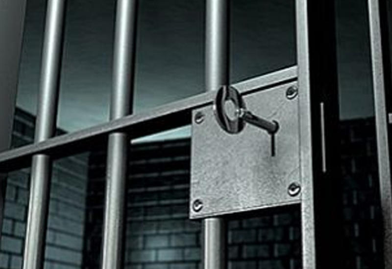 Канадский вратарь получил 30 дней тюрьмы за то, что ударил судью