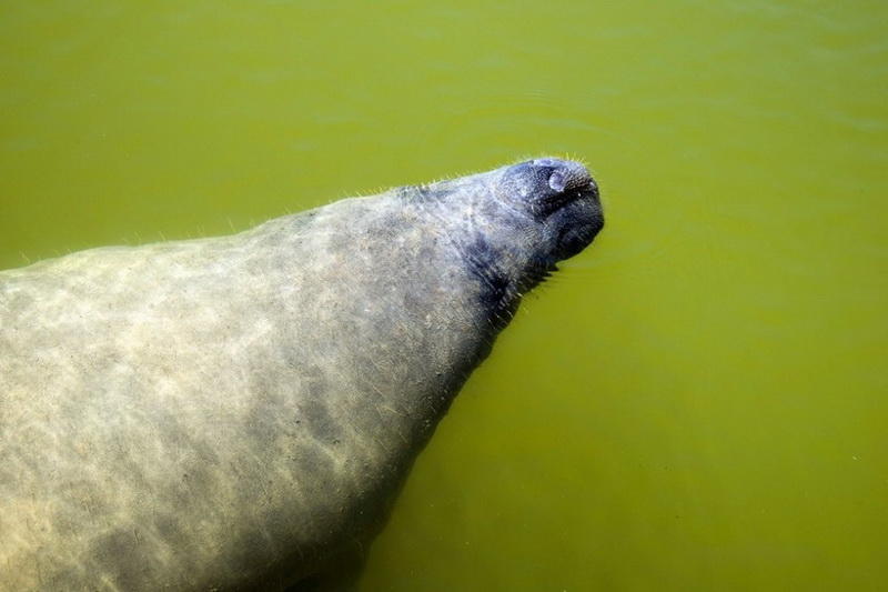 Самые популярные фотографии животных этого лета