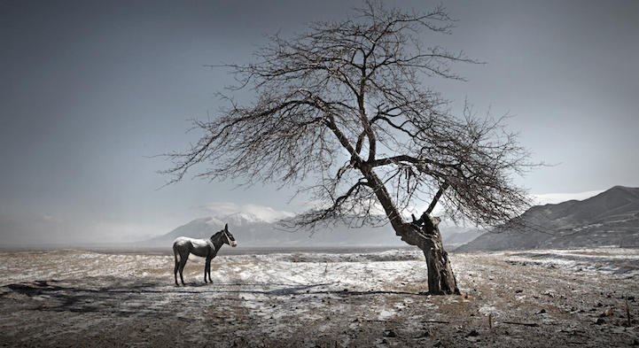 Фотограф увековечивает исчезающие китайские деревни для будущих поколений