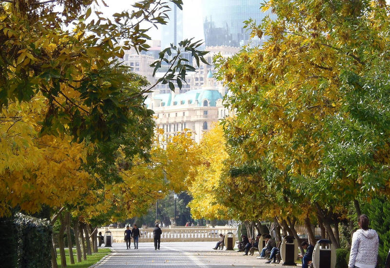 Какой будет погода завтра в Баку