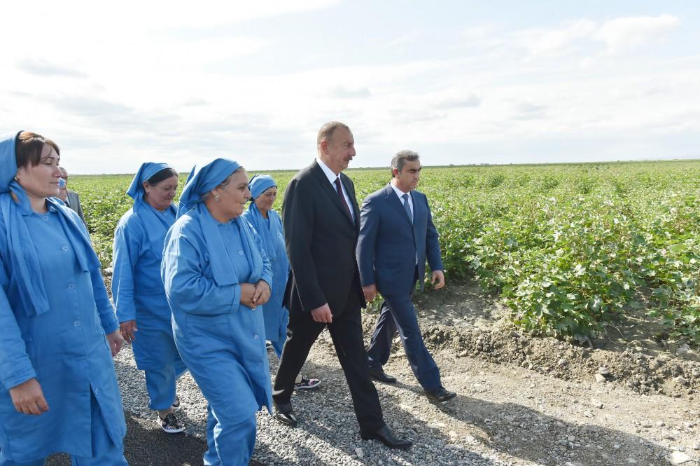Поездка Президента Ильхама Алиева в Масаллинский, Билясуварский и Сальянский районы