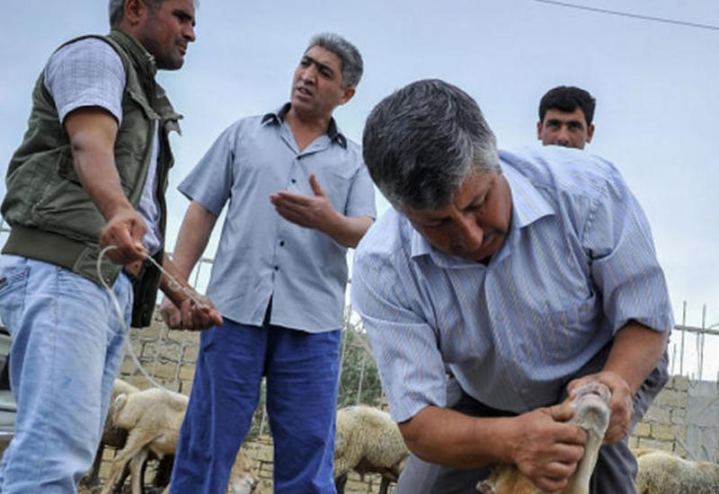 Azərbaycanda Qurban bayramı