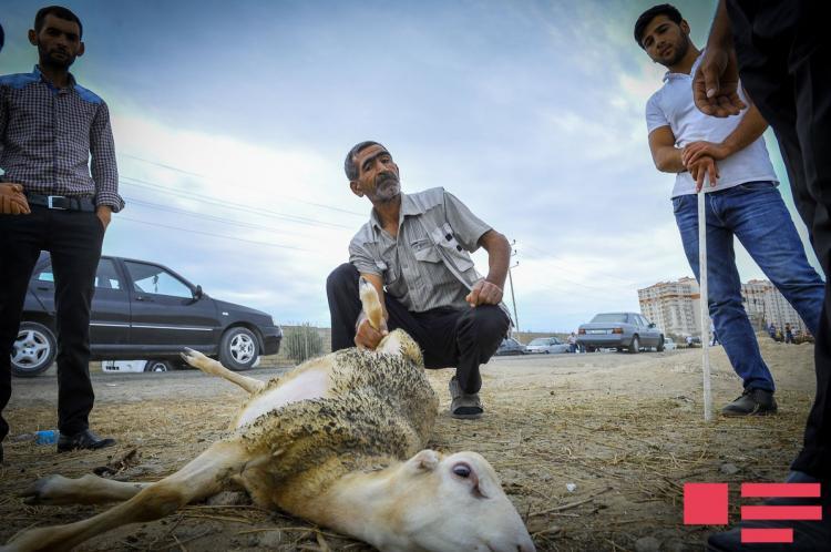 Azərbaycanda Qurban bayramı