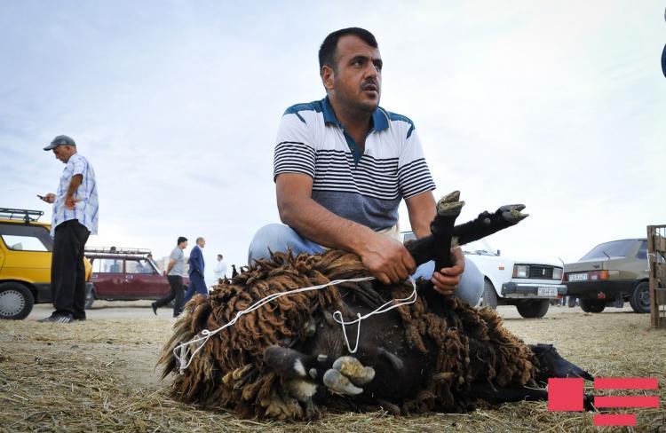 Azərbaycanda Qurban bayramı