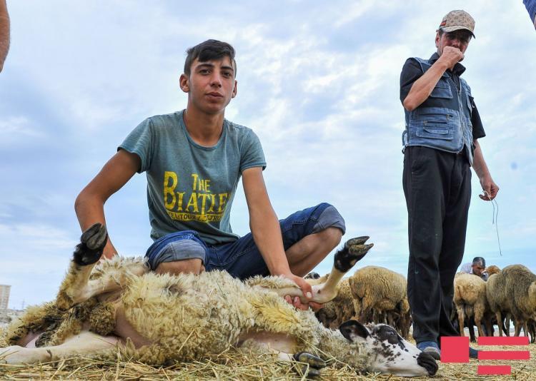 Azərbaycanda Qurban bayramı