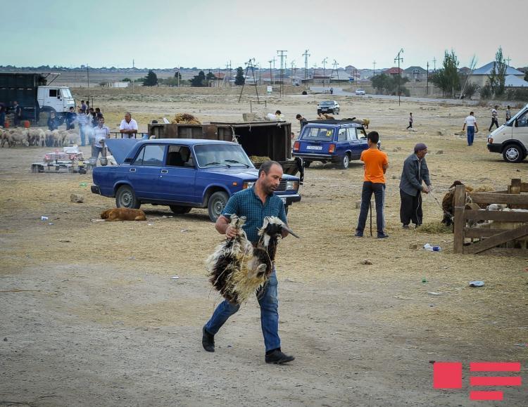 Azərbaycanda Qurban bayramı