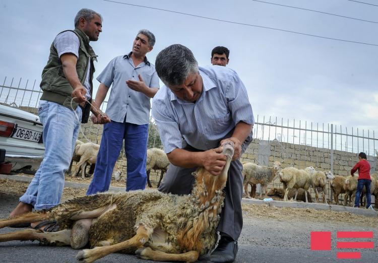 Azərbaycanda Qurban bayramı