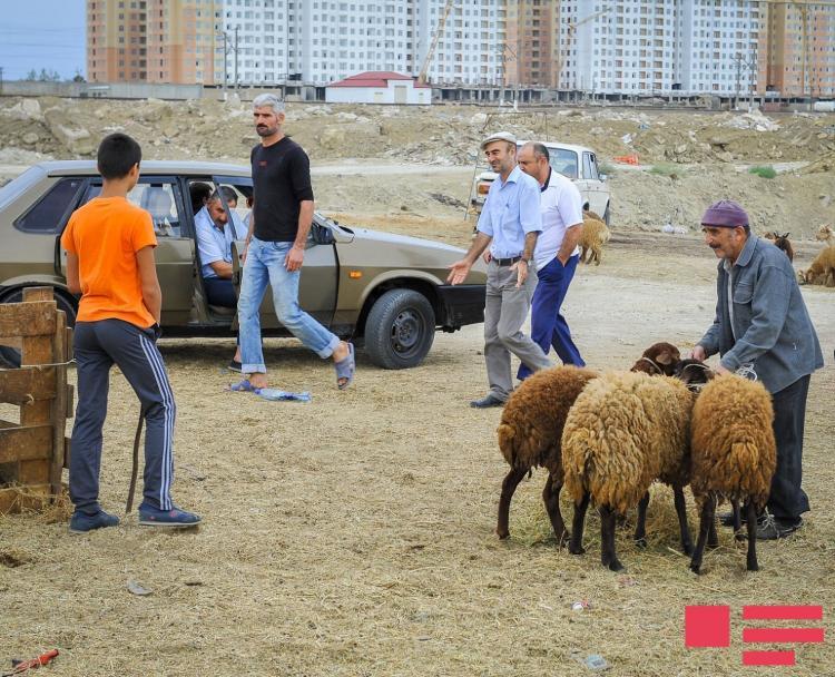 Azərbaycanda Qurban bayramı
